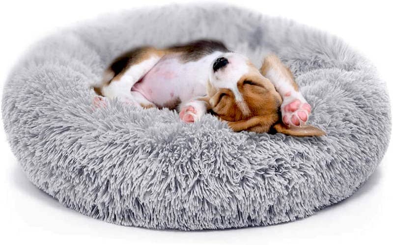 Donut Bed - Best Dog Beds