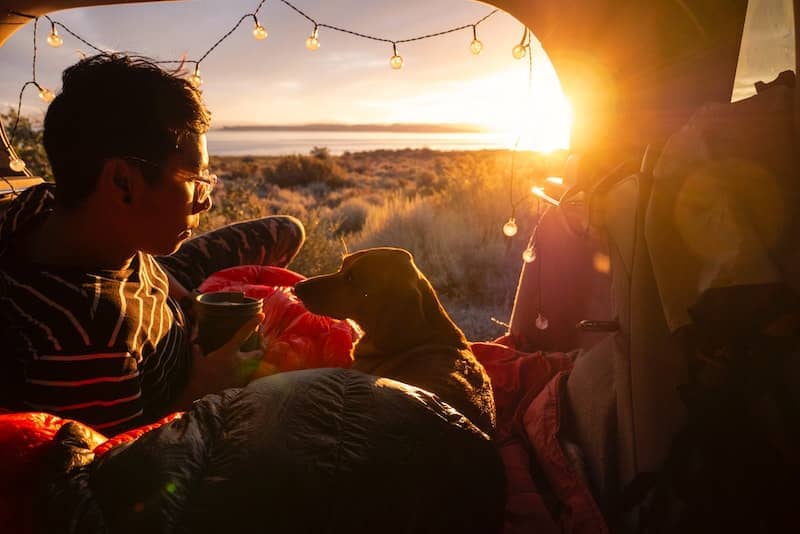 Coffee and Camping Gear for Dogs