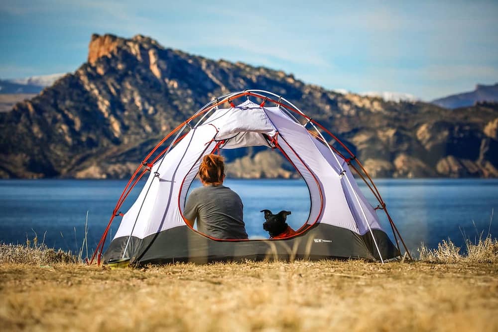 Camping Gear for Dogs