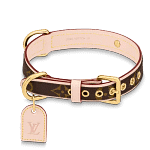 14 Luxury Dog Collars By High-End Brands That Might Surprise You