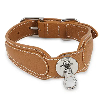 Luxury Dog Collars: The Best High End Collars Reviewed 2023