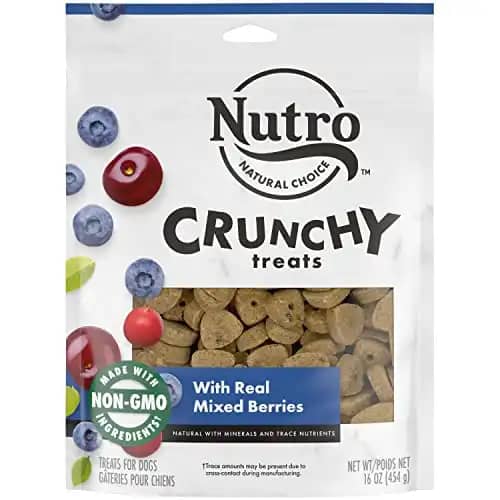 NUTRO Crunchy Natural Dog Treats