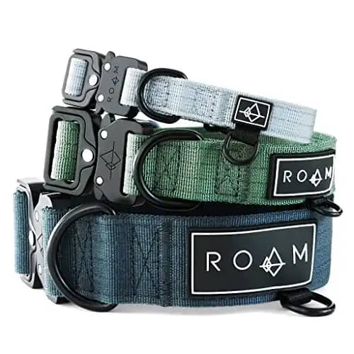 ROAM Premium Adjustable Heavy Duty Nylon Dog Collar