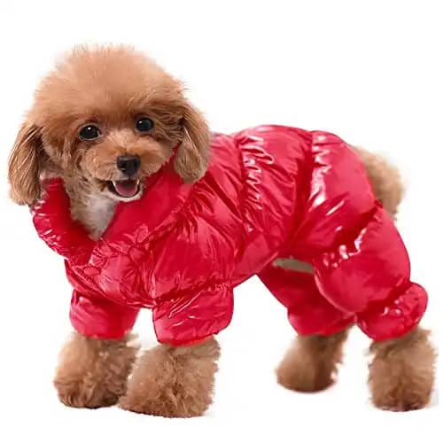 AOFITEE Dog Coat