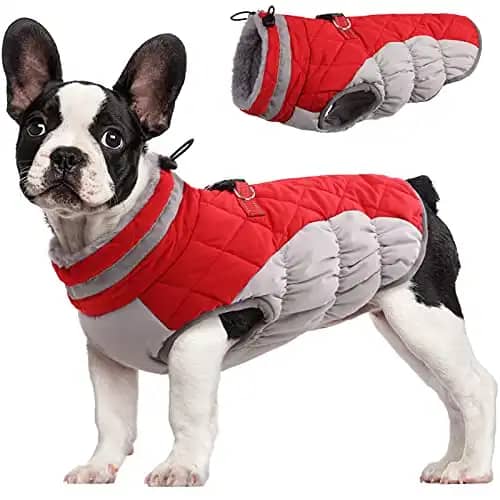 FUAMEY Padded Vest Dog Jacket