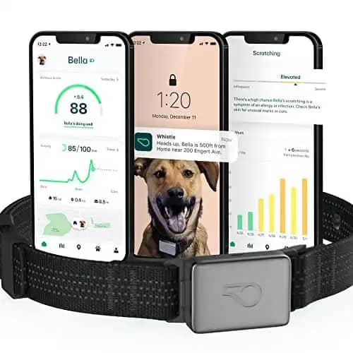 Whistle GPS Health and Fitness Smart Dog Collar