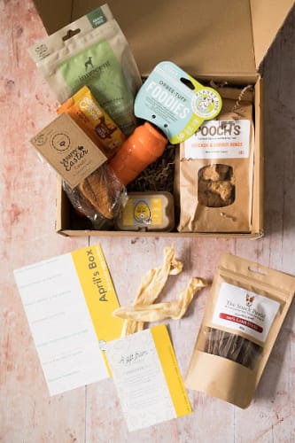 Collar Club Eco-Friendly Subscription Box