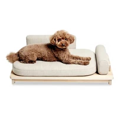 BadMarlon Linden Pet Daybed from Pets So Good
