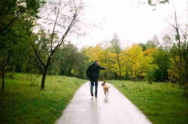 Dog Walk in Fresh Air - Dog Calm
