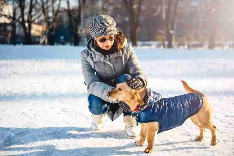 Dog wearing a jacket with woman in the snow