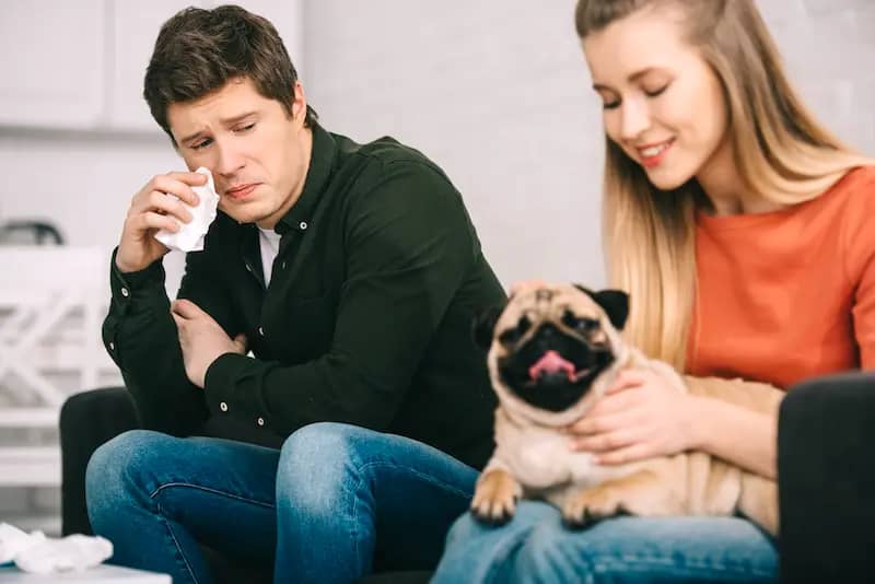 Pug with Woman and Man with Tissue