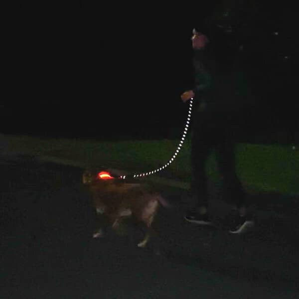 Leash for walking your dog at night