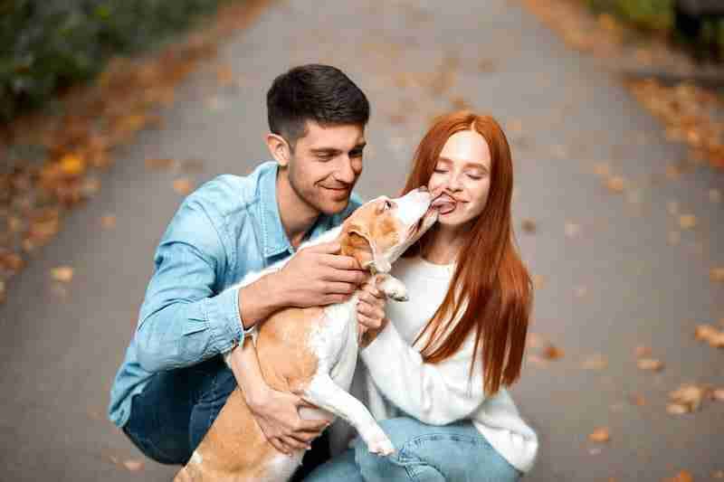 Dog kissing her owner's face