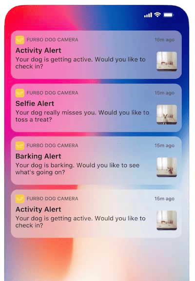 Furbo App Notifications