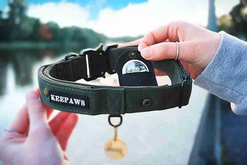 GPS Collar with AirTag