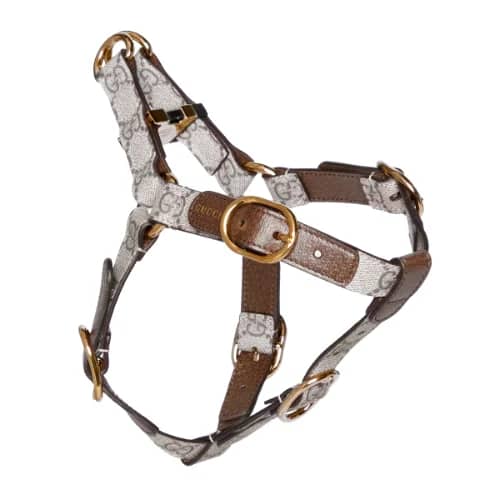 Gucci Pet Harness