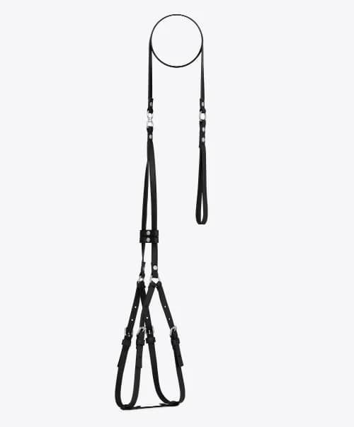 Yves Saint Laurent Dog Harness and Leash in Leather