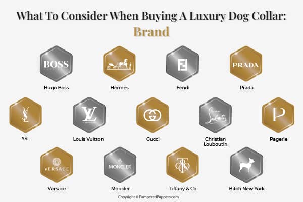 Designer Dog Collars