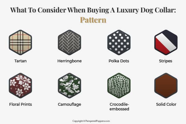 Expensive Dog Collars