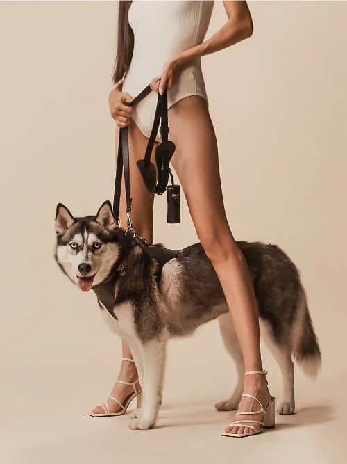 High End Dog Leashes